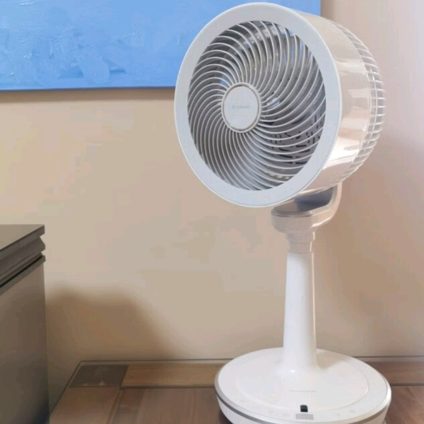 2022年夏季电风扇该如何选购，电风扇的购买建议和指南，电风扇的选购要点，哪种类型电风扇好，常见电风扇种类全解析以及各个风扇种类的区别和测评 - 知乎