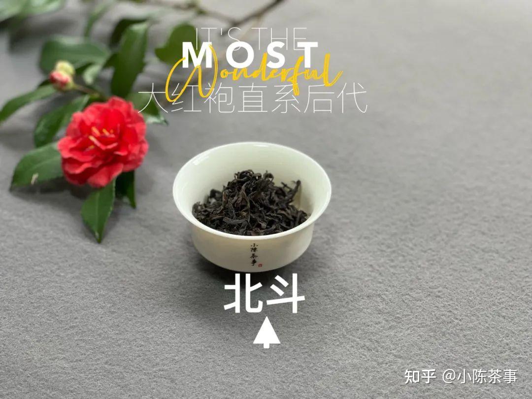 北斗,奇丹,小红袍,紫红袍,谁才传承了武夷岩茶大红袍的神韵? - 知乎