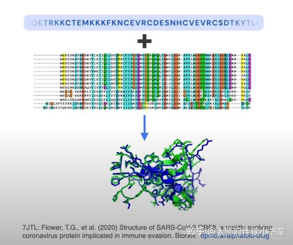 聊聊AlphaFold - 知乎