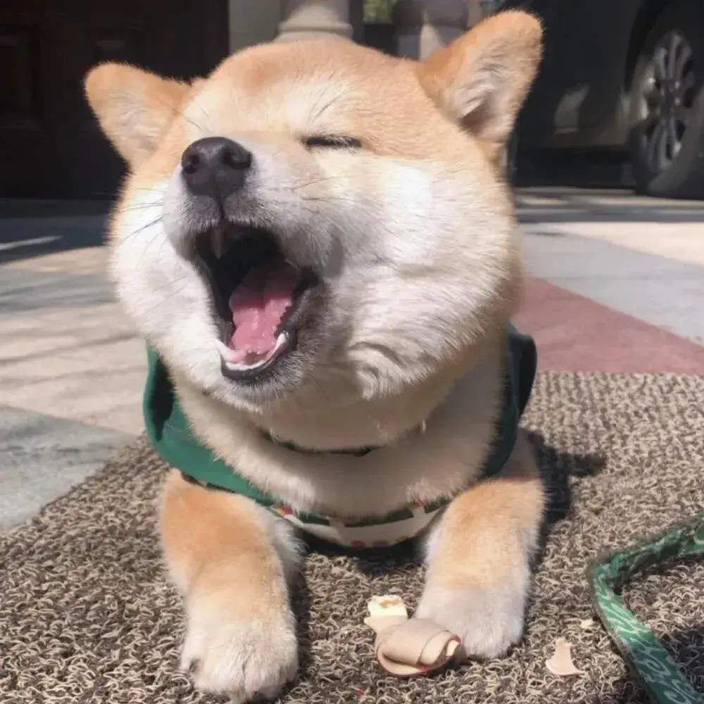 120张可以逗女朋友开心的表情包 - 知乎