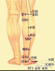 倪海厦针灸课笔记(14)足太阳膀胱经03 - 知乎