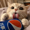 喝可乐的猫情侣头像图片