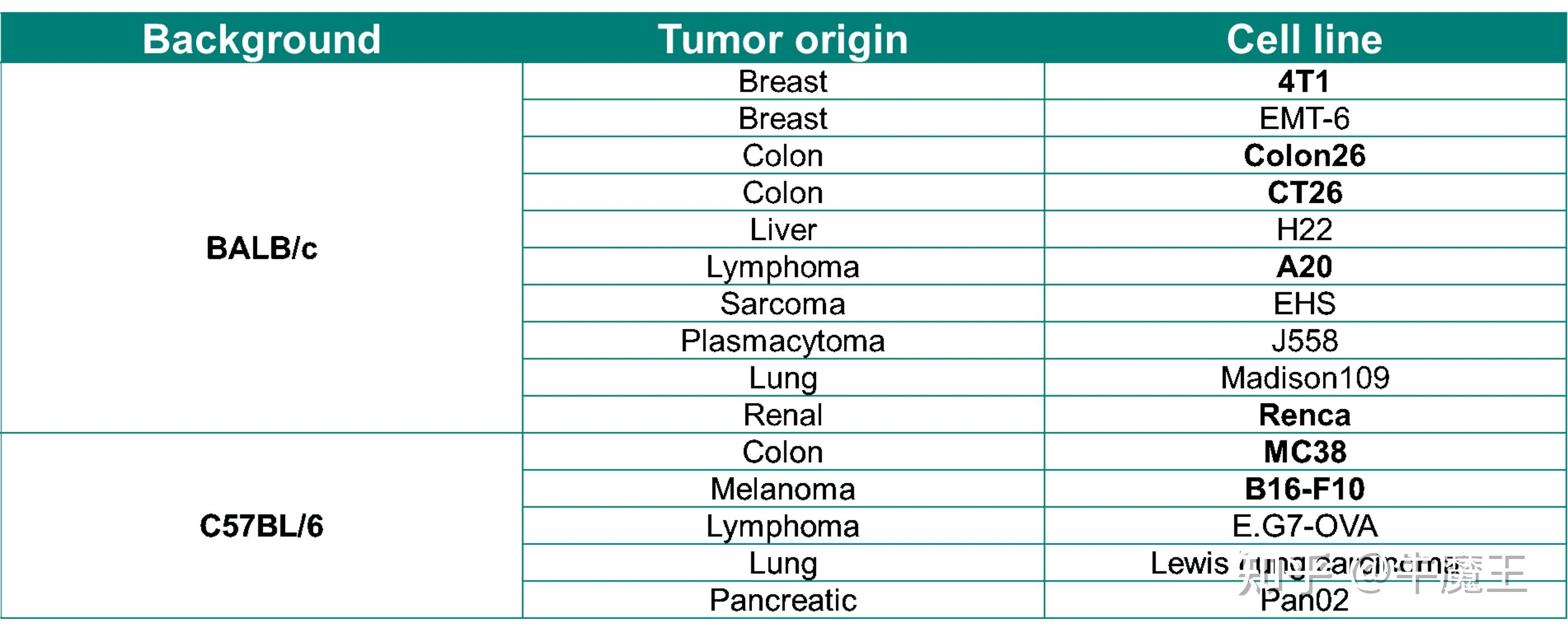 小鼠种类汇总（持续完善ing） - 知乎