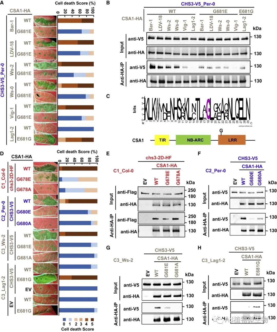 Cell Host & Microbe | Jeff Dangl团队揭示植物免疫受体调节细胞死亡的机制！ - 知乎