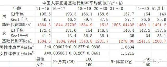 基础代谢率算出来怎么使用?