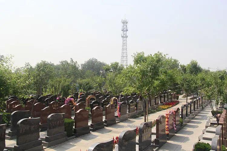 北京房山青龙公墓图片