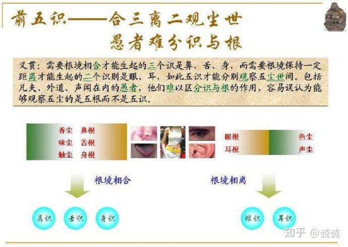 八识心王图解图片