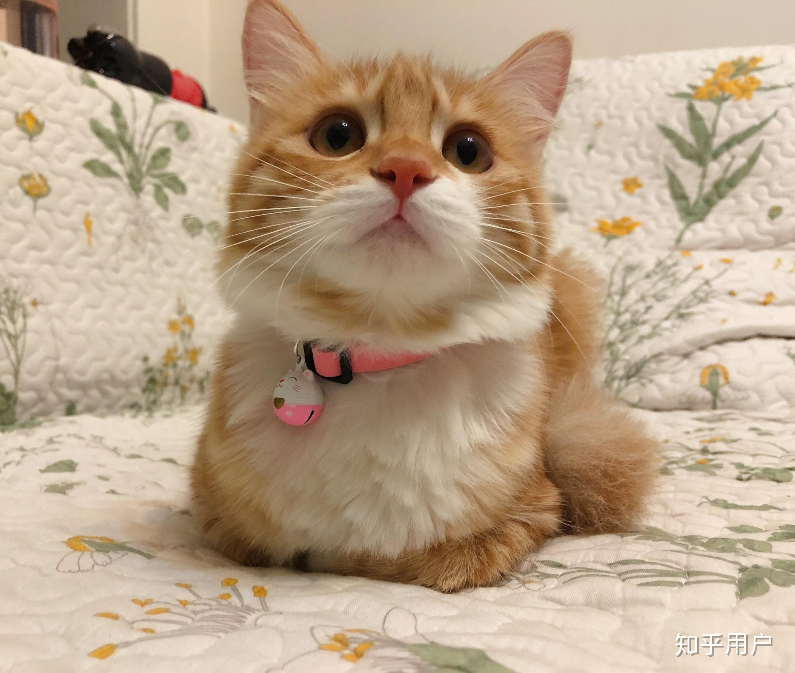 淘宝天猫服饰垂直化策略升级：“用户+供给”双轮驱动商家生意增
