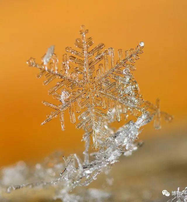 老唐教你拍照闪光的大雪花
