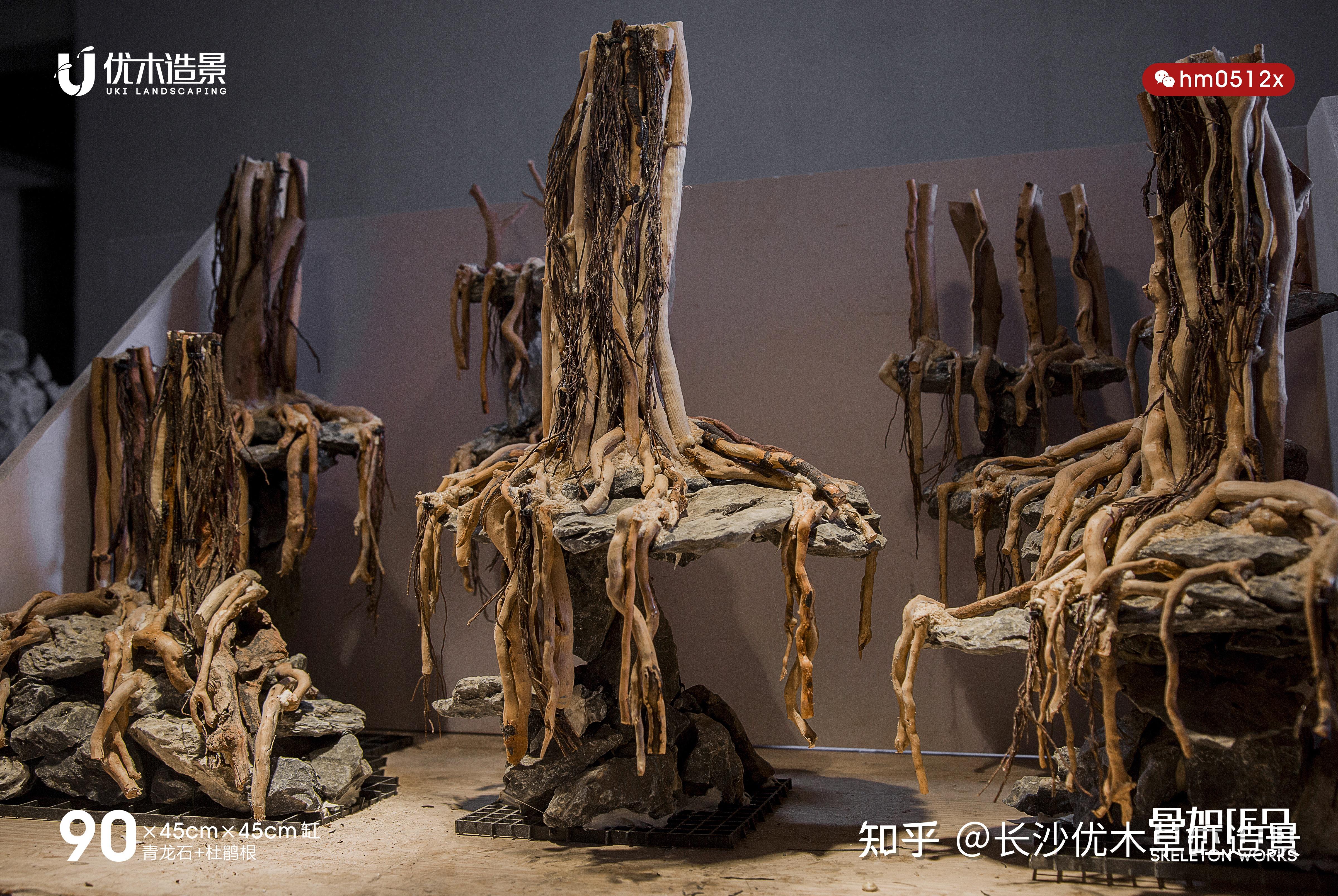 草缸中的三种常见尺寸都做过一次的双层森林杜鹃根草缸造景骨架