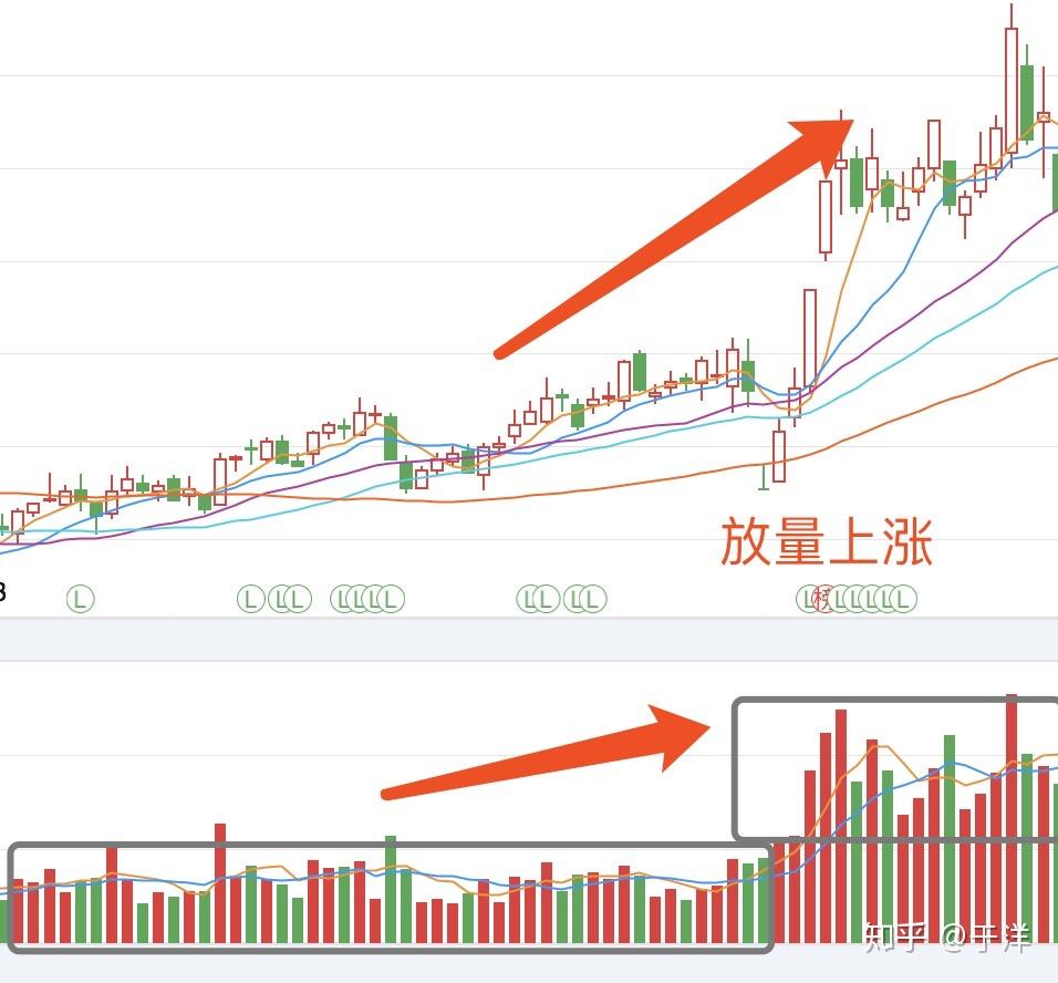最友好的股市入门系列— 基础篇（四） - 知乎