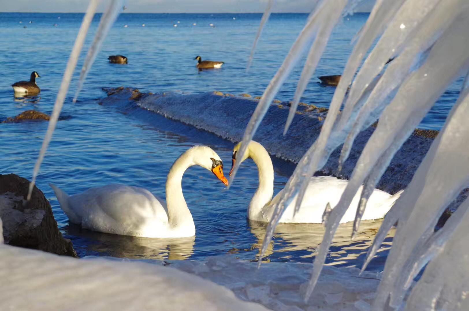 去他的好山好水好寂寞0202020202020202020202