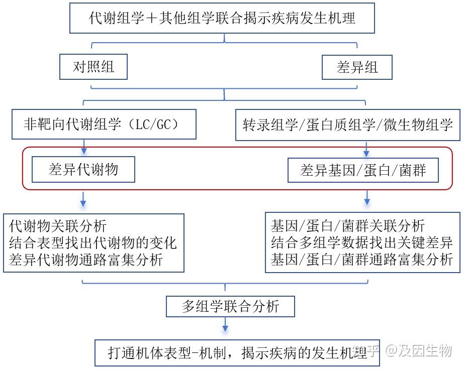 代谢组学专题丨一文带您了解最全代谢组学研究思路！ - 知乎