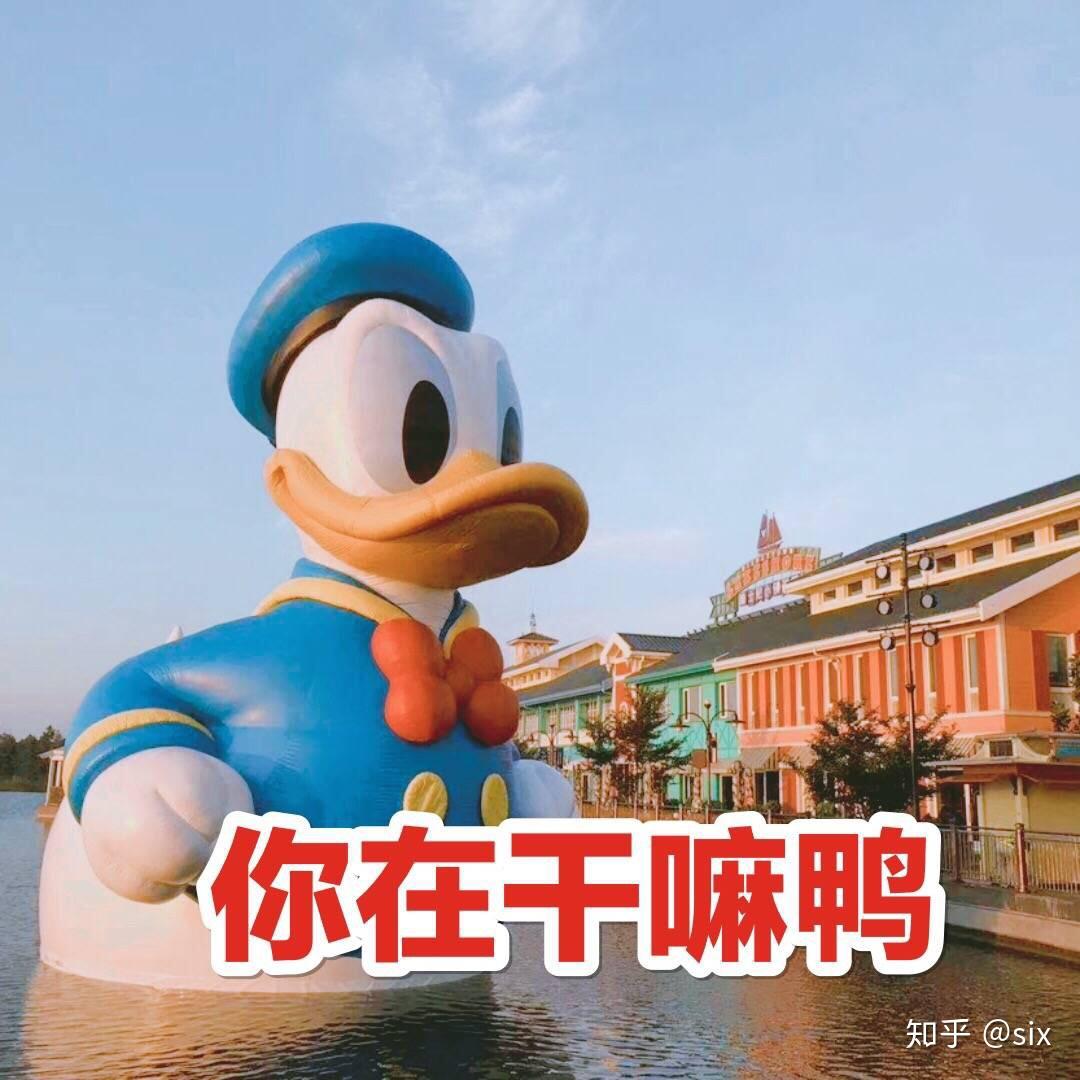 。你有没有哪些好玩的系列表情包？