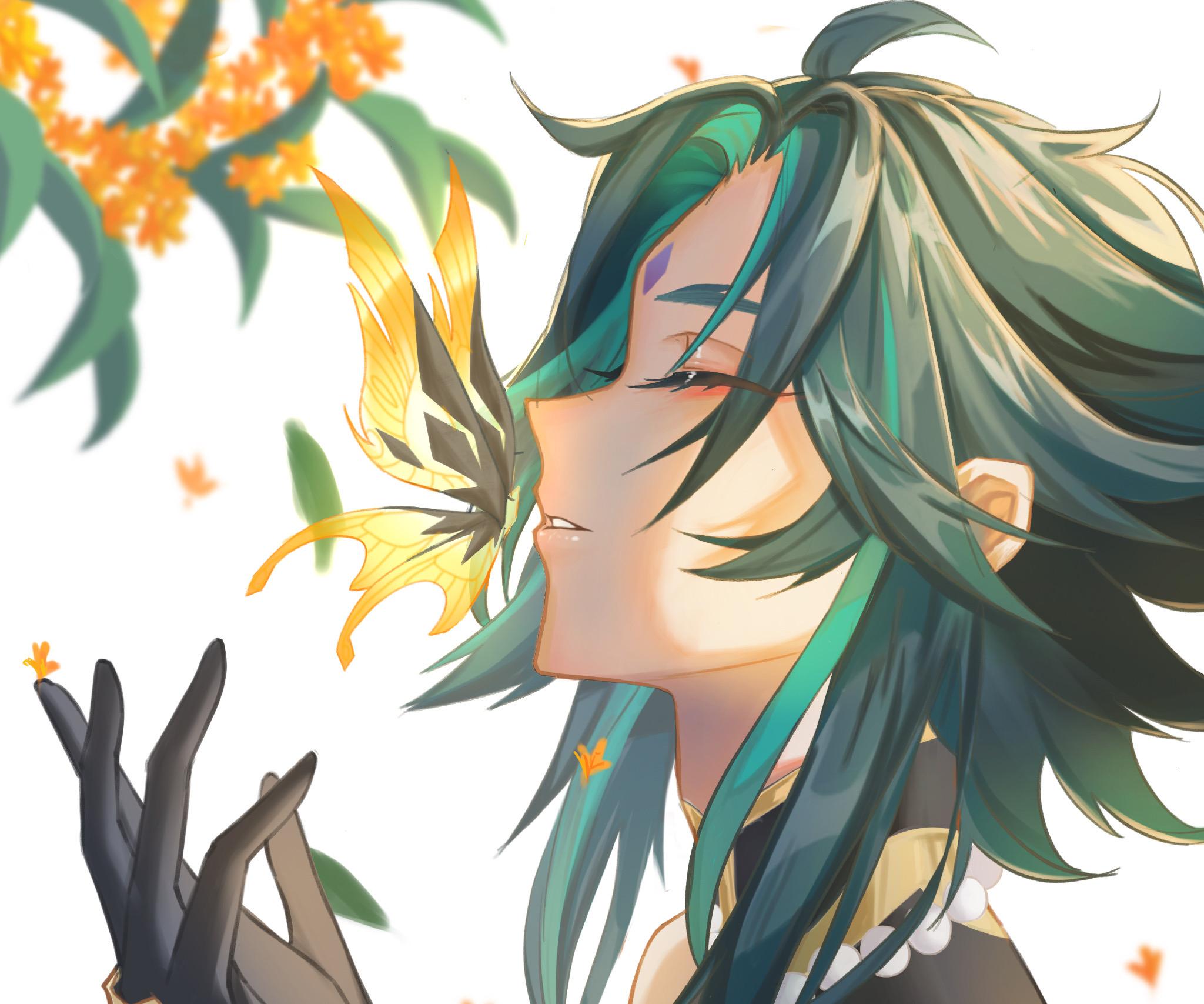 [原神]壁纸/头像特大分享③ - 知乎