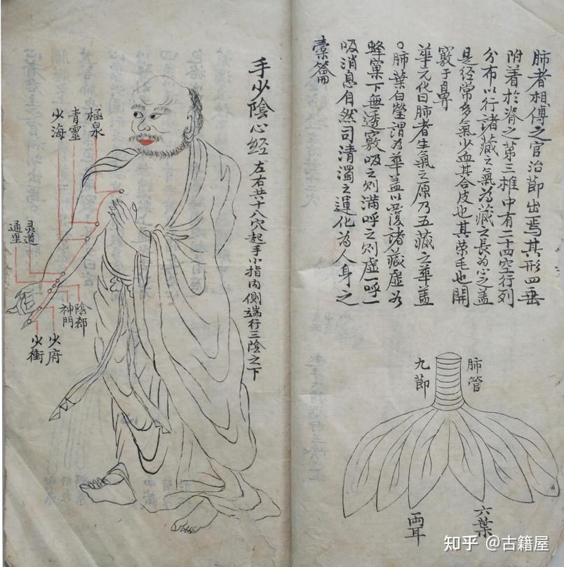 宗营卫三气图,任督解,任脉二十四穴图,十二经脉《经络图要》 - 知乎