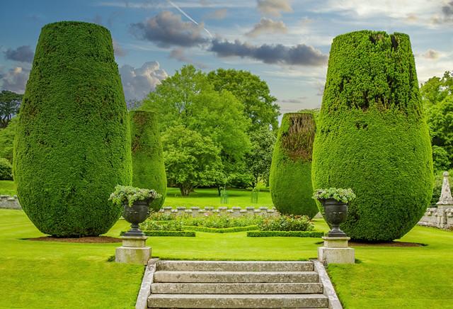 邂逅几何花园,邂逅法式园林的浪漫! - 知乎