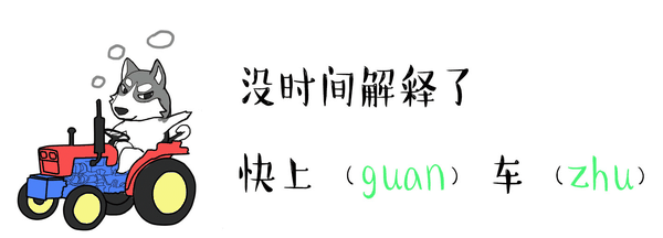 彩色鹦鹉魔性摇头gif 彩色鹦鹉摇头表情包gif 蹦迪表情包gif摇头闪光