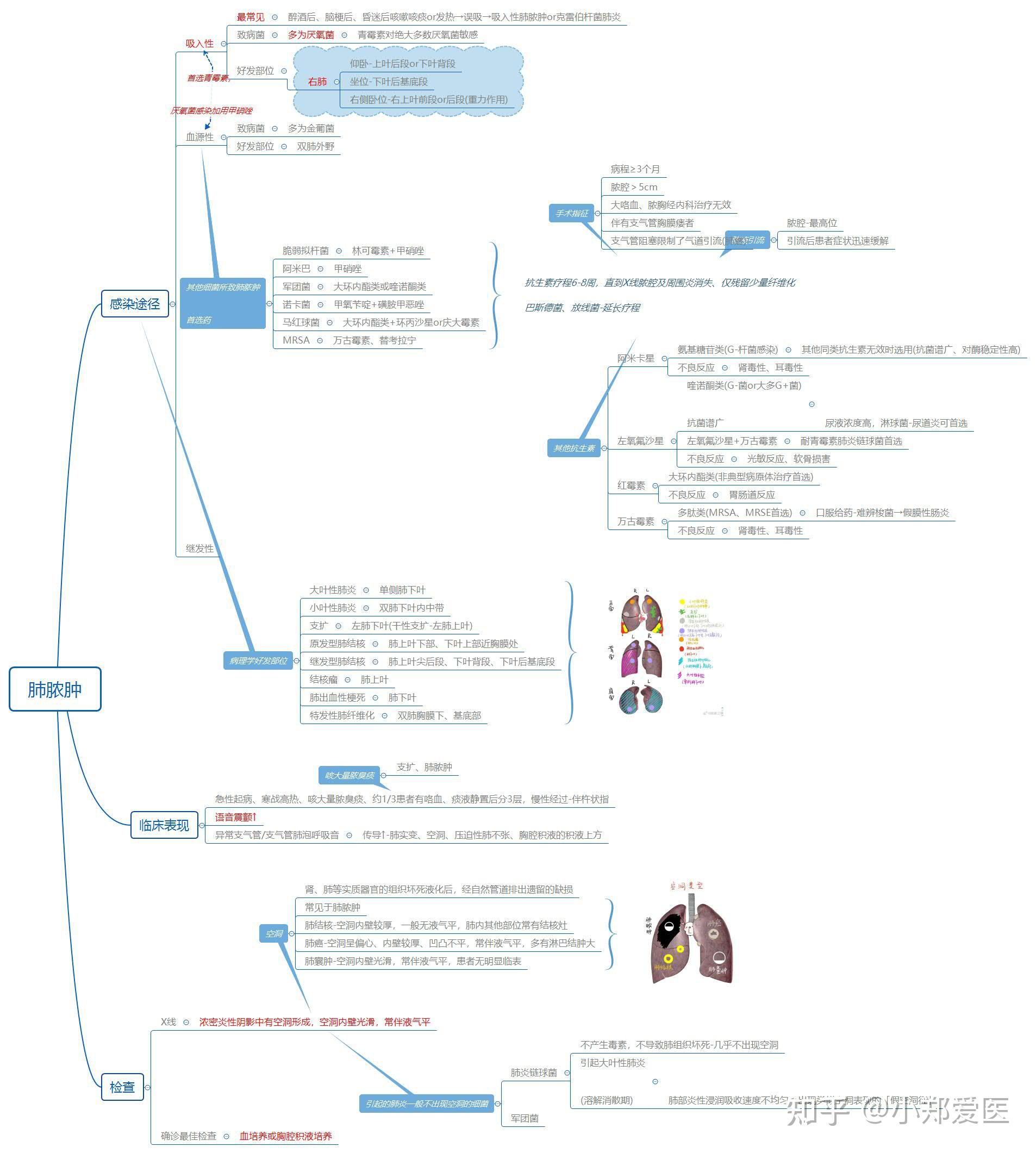 内科学思维导图之呼吸系统