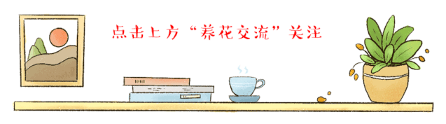 繁殖家里的木本绿植,可以尝试一下高枝压条法 - 知乎