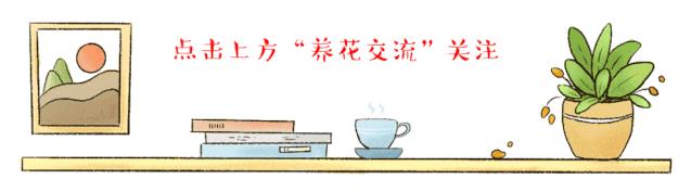 繁殖家里的木本绿植,可以尝试一下高枝压条法 - 知乎