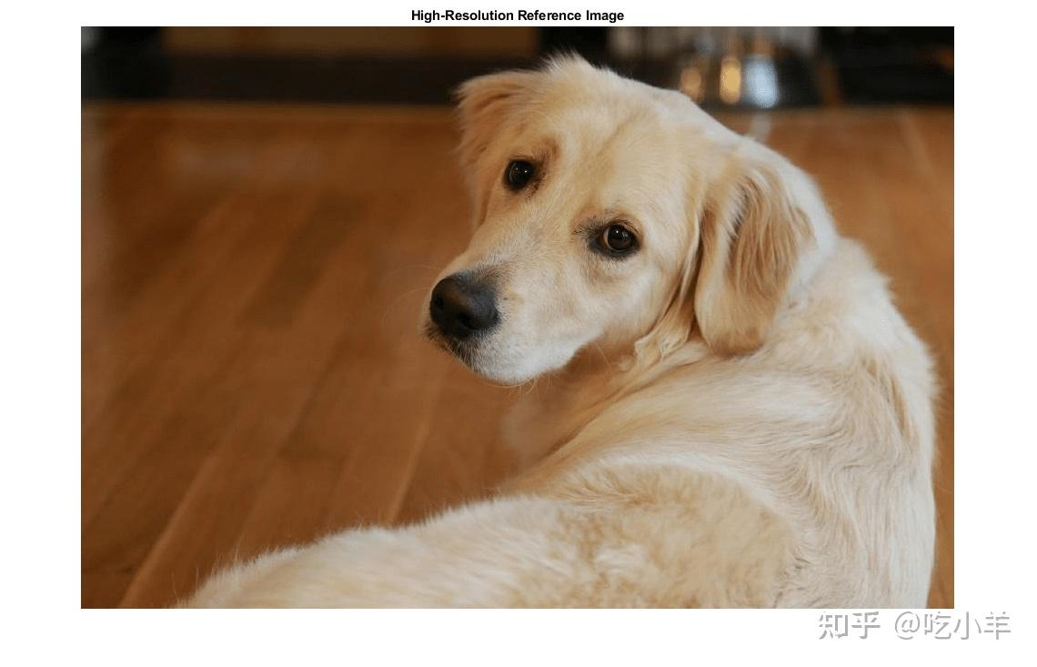 创建低分辨率图像示例