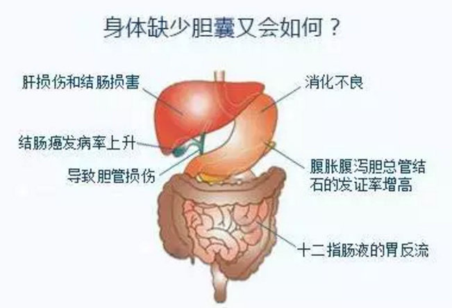 v2-edcfccb6db54be34983f45199b1dd153_1200x500.jpg