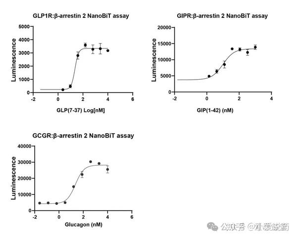 治疗高血压和肥胖的GCGR、GIPR及GLP-1R 三重激动剂 - 知乎