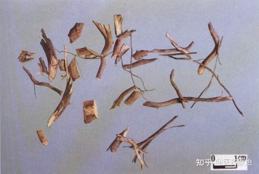 黑叶拔葜饮片云南兔耳风威灵仙与鬼臼图文鉴别威灵仙鬼臼【炮制】除去