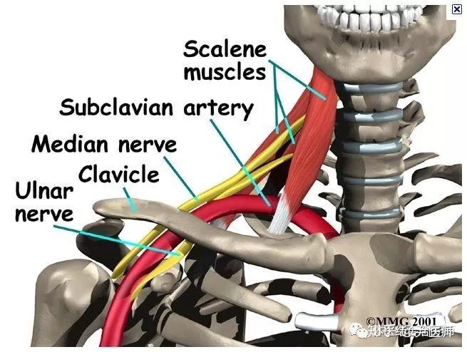 针灸有良效病急乱投医确可致命