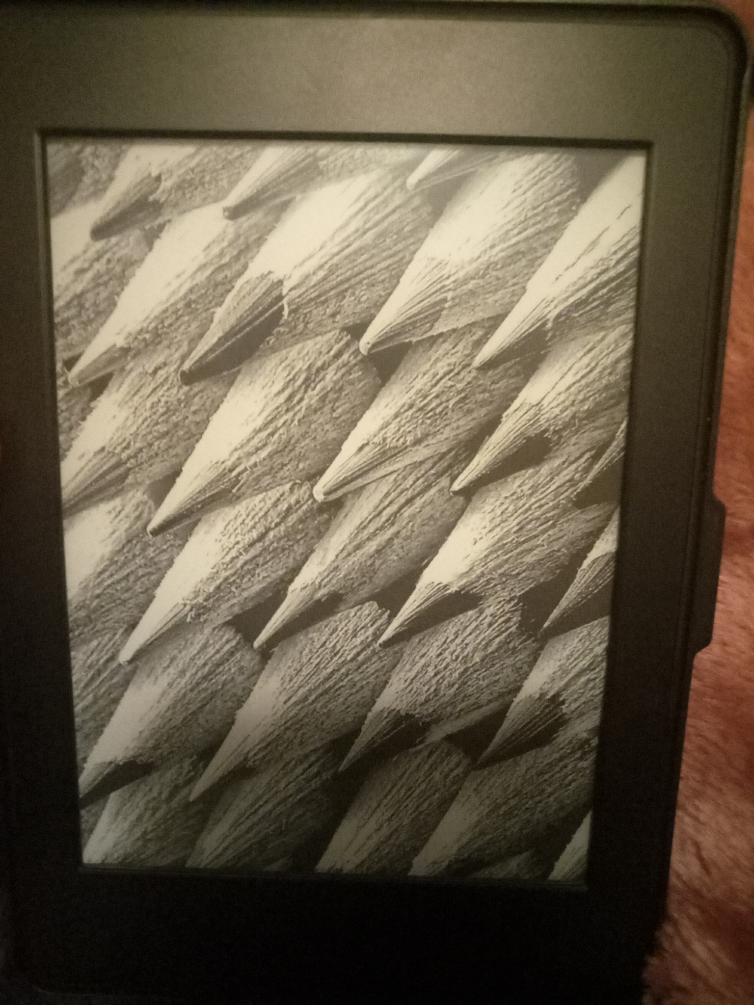 关于脆弱的kindle墨水屏的问题? - Kindle