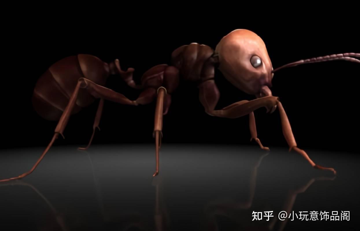 世界上最大的蚂蚁图片 巨型蚂蚁吃人图片 -自媒体热点