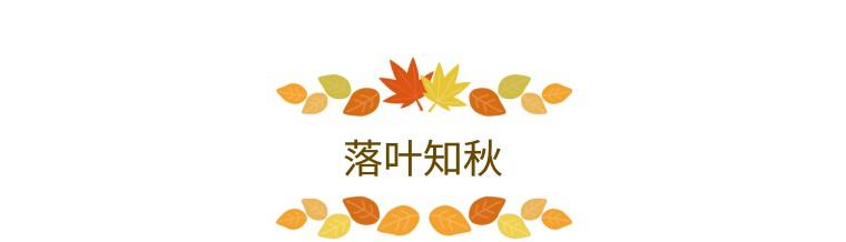 秋风落叶用最文艺的方式保留这一叶秋景