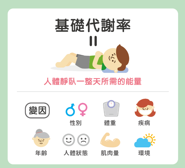 如何提高自己的基础代谢率bmr