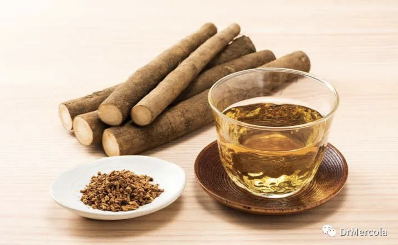 牛蒡根茶 这种传统疗法可以治疗炎症 肝脏问题等 知乎 牛蒡根茶 这种传统疗法可以治疗炎症 肝脏问题等 知乎