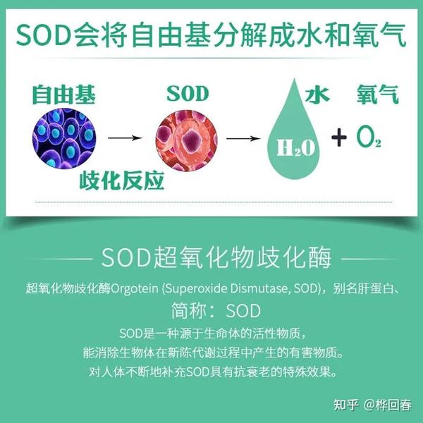 SOD小讲堂(一):SOD的认识和应用史 - 知乎
