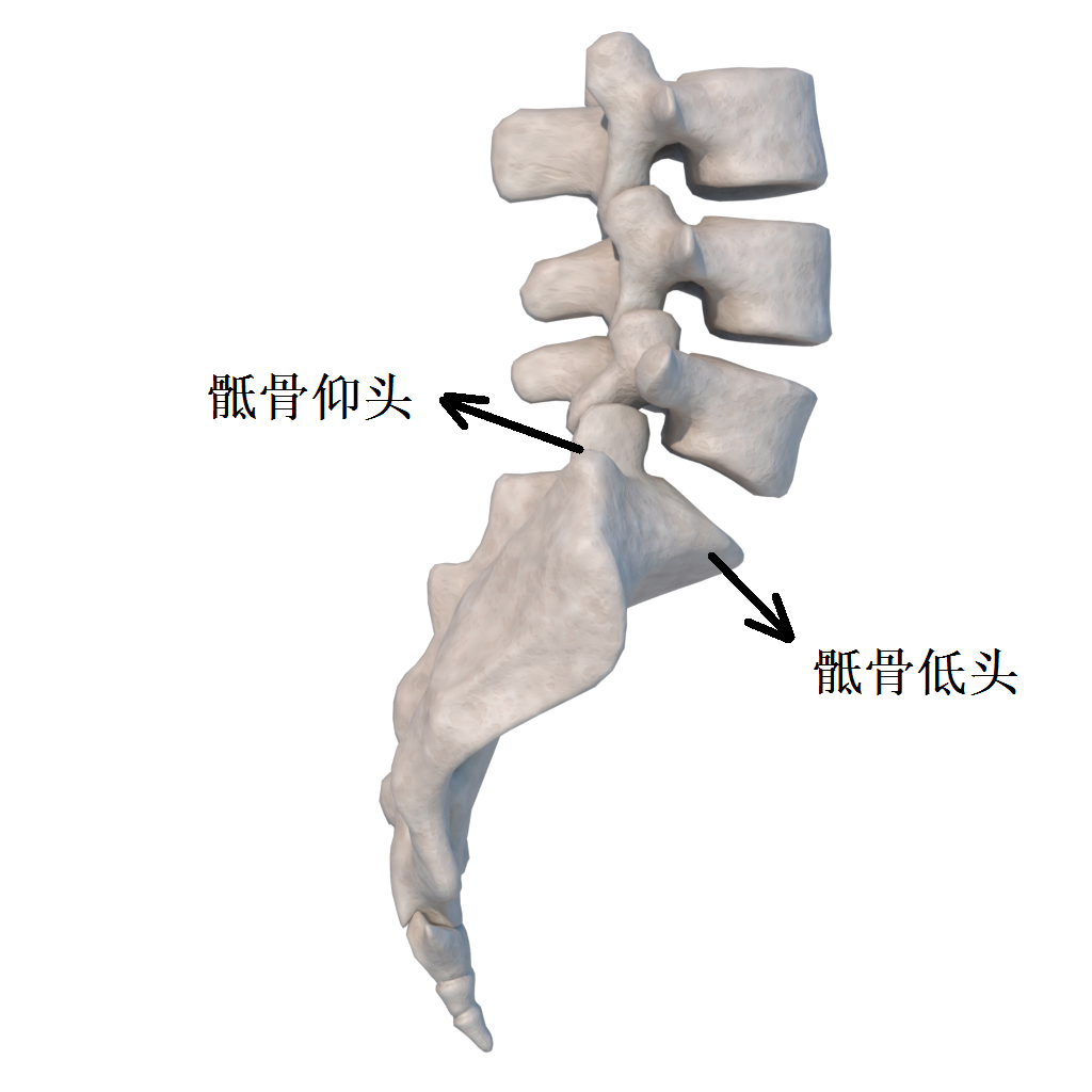 腰骶疼痛  图4