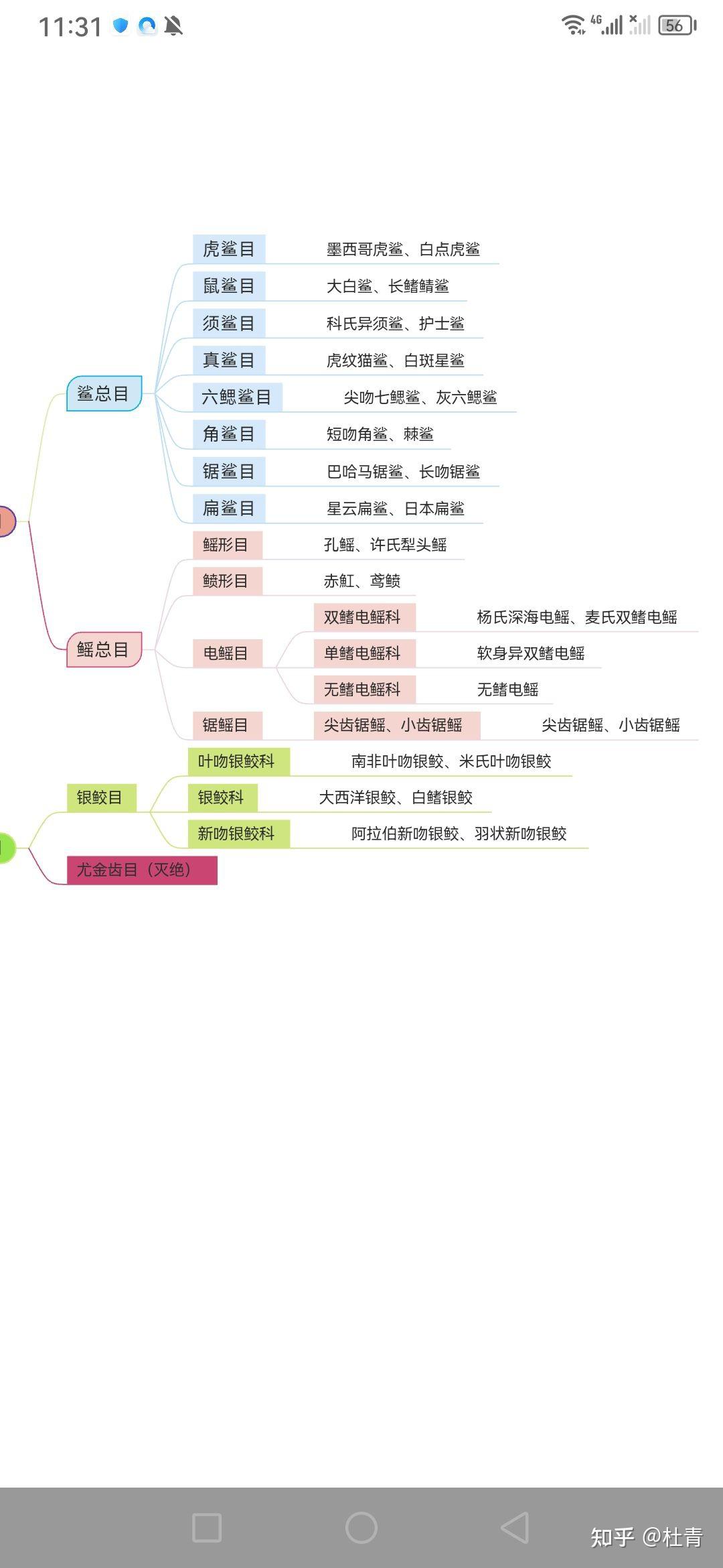 
八年级生物鱼总结  第1张