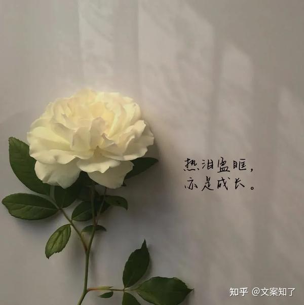 文案|分享热爱生活的温柔文案！ - 知乎