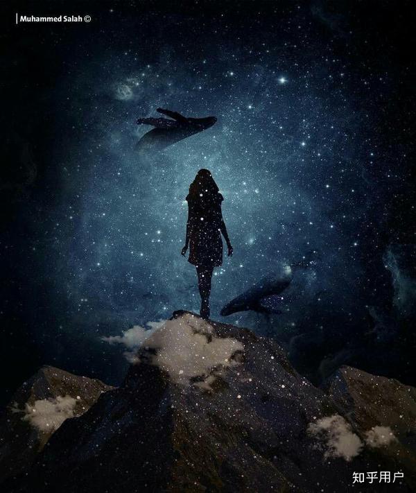 我向往着星辰与大海