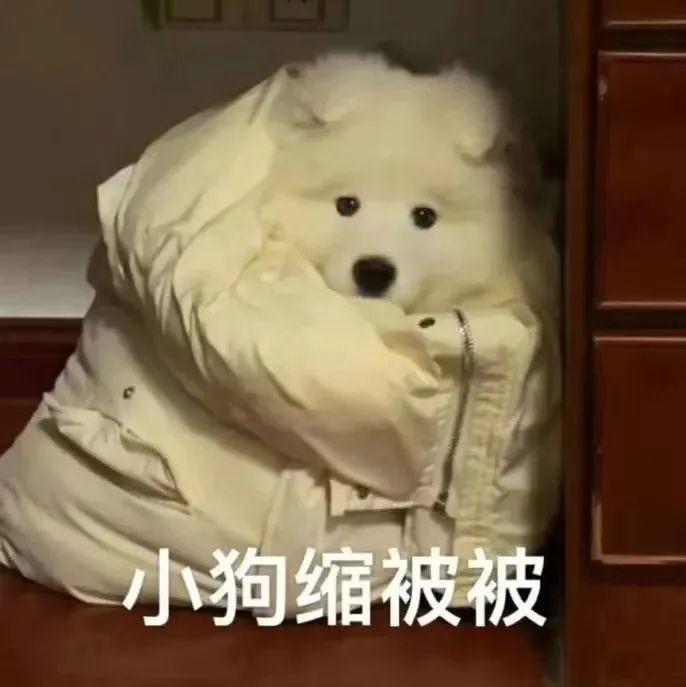 你客气了表情包 - 知乎