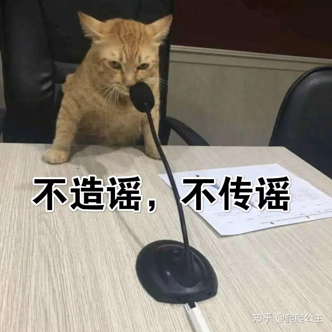 面对新型肺炎疫情大家有没有关于口罩的沙雕表情包