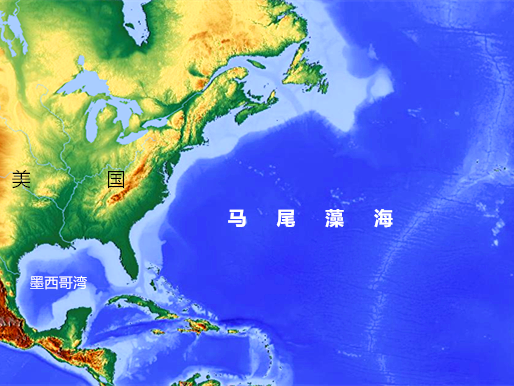 马尾藻海地理位置图片