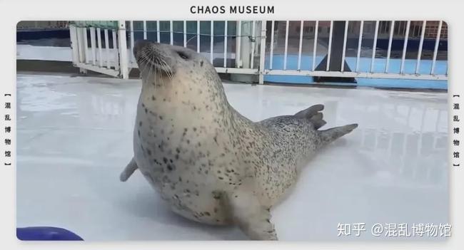 人类可以只吃肉不吃菜吗? 10 v2 ee62e2e06589d6dc568c5fc75ed14b55 720w