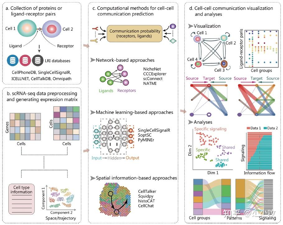 超详细 | 生物医学研究和临床应用中scRNA-seq的数据分析指南 - 知乎