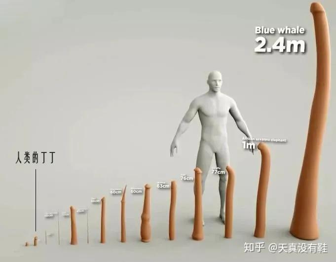 同样是丁丁人类的战斗力如何