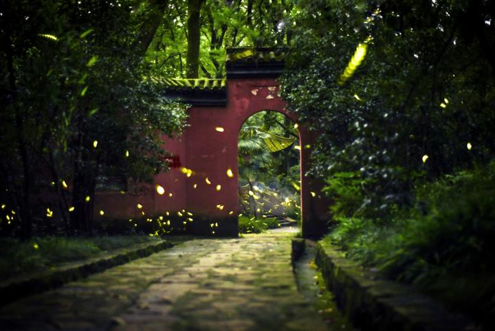 2024南京旅游:刚回来!花了3000块钱买来的血泪教训!!4天3晚攻略这个春节就去南京!! - 知乎