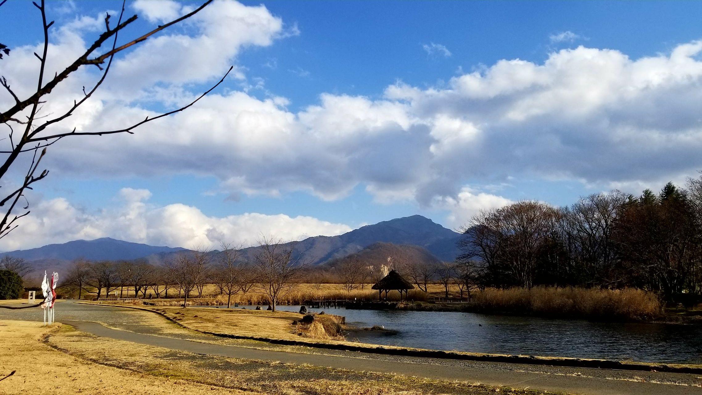 如何评价日本战国时代川中岛第四次合战