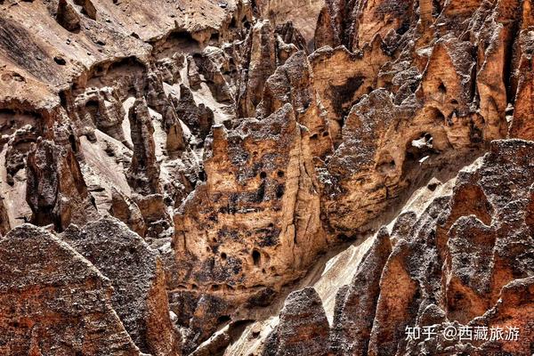 西藏这个最低调的峡谷,你造吗?思鹿旅行推荐