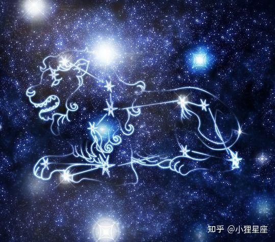 不同血型&狮子座的特征系列(一 O型血狮子座) - 知乎